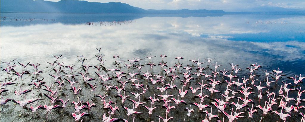 2 Day Tarangire Ngorongoro Safari